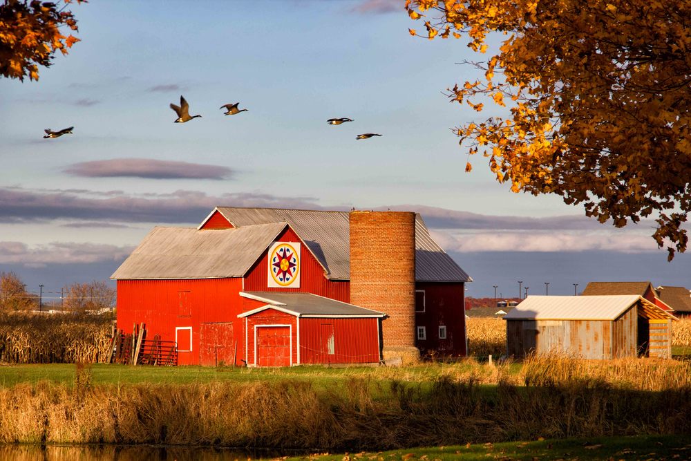 Church Website Barn Pic.jpg