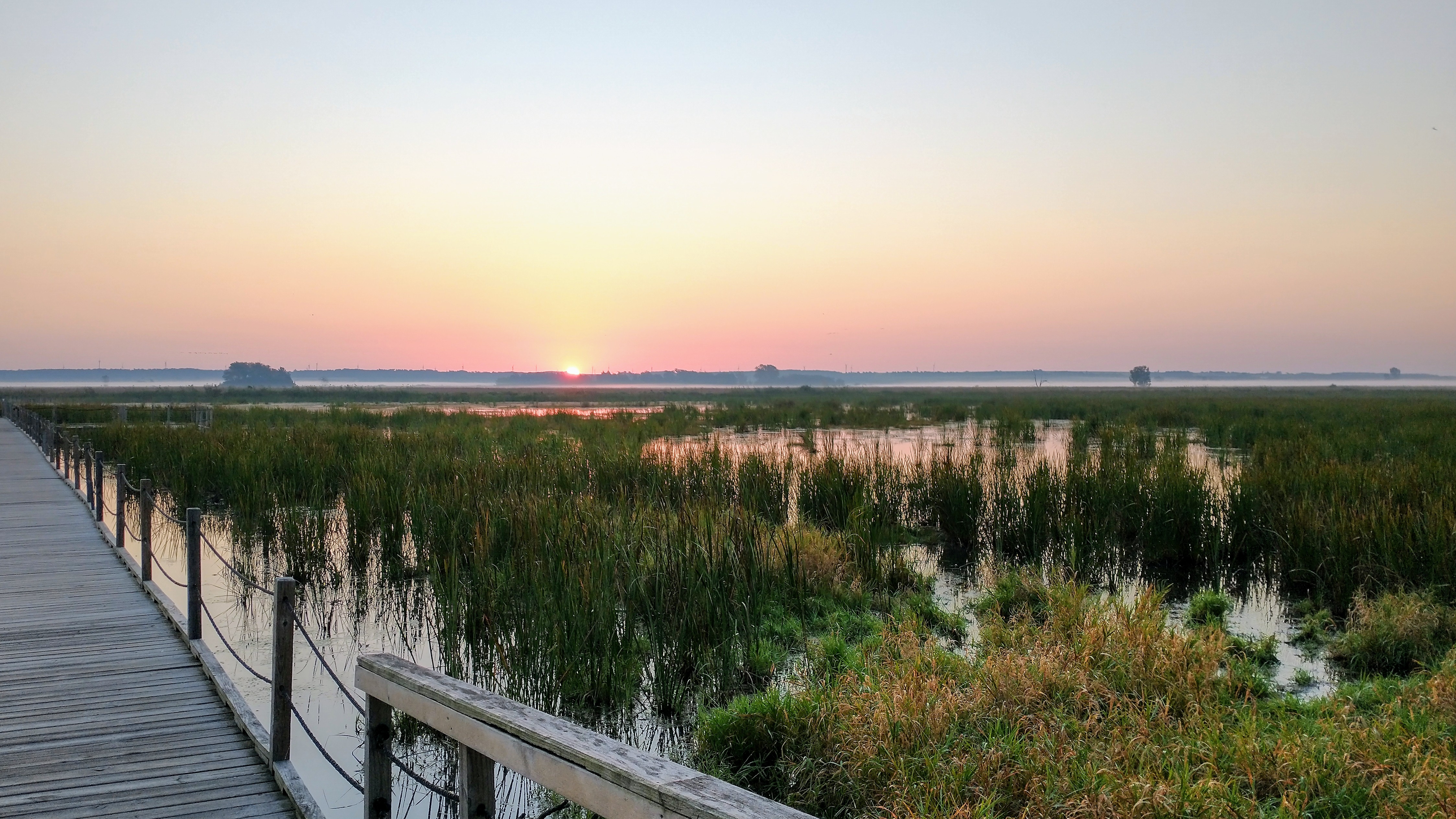 Horicon Marsh 2.jpg